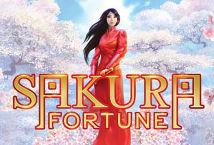 Sakura Fortune Sakura Fortune